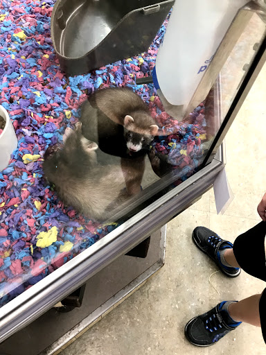 Pet Supply Store «Petco Animal Supplies», reviews and photos, 2824 Long Beach Rd, Oceanside, NY 11572, USA