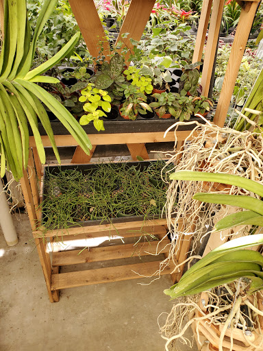 Hardware Store «Proctor Ace Hardware», reviews and photos, 1281 Atlantic Blvd, Neptune Beach, FL 32266, USA