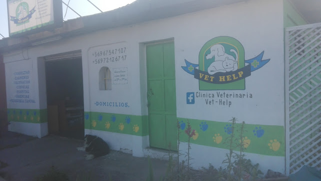 Opiniones de Clinica Veterinaria Vet Help en Isla de Maipo - Veterinario