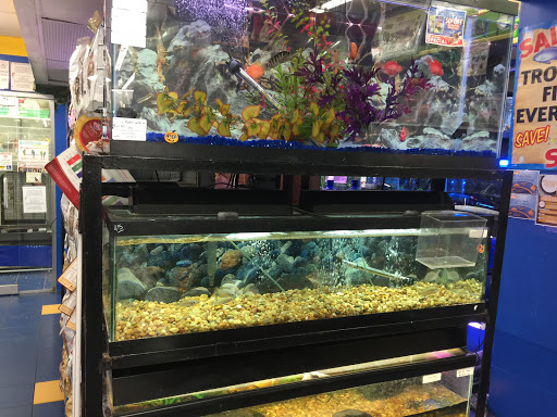 Pet Supply Store «Petland Discounts - Brighton Beach», reviews and photos, 416 Brighton Beach Ave, Brooklyn, NY 11235, USA