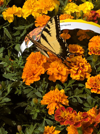 Home Improvement Store «The Home Depot», reviews and photos, 1100 Liberty Park Dr, Hurricane, WV 25526, USA