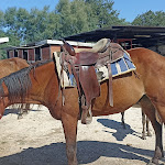 Photo n°1 de l'avis de Selene.o fait le 15/08/2023 à 14:44 sur le  Agriturismo Hornos à Marcelli