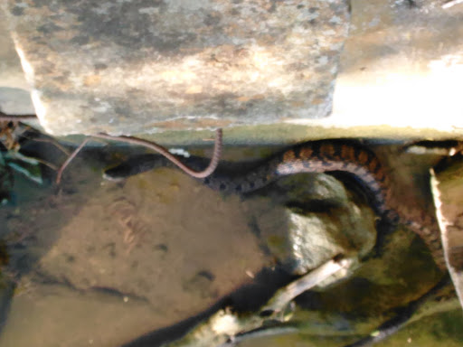 Tourist Attraction «Calaveras Lake Entrance», reviews and photos, 12965 Bernhardt Rd, San Antonio, TX 78263, USA