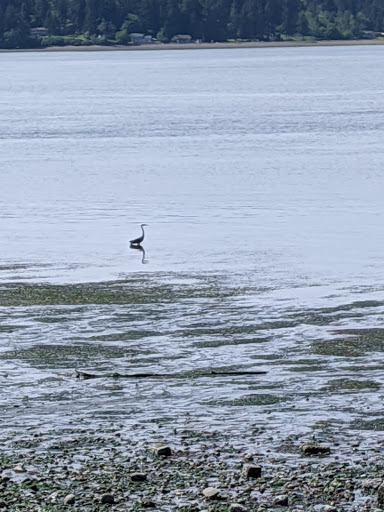 Golf Course «The Home Course», reviews and photos, Golf House Rd, DuPont, WA 98327, USA