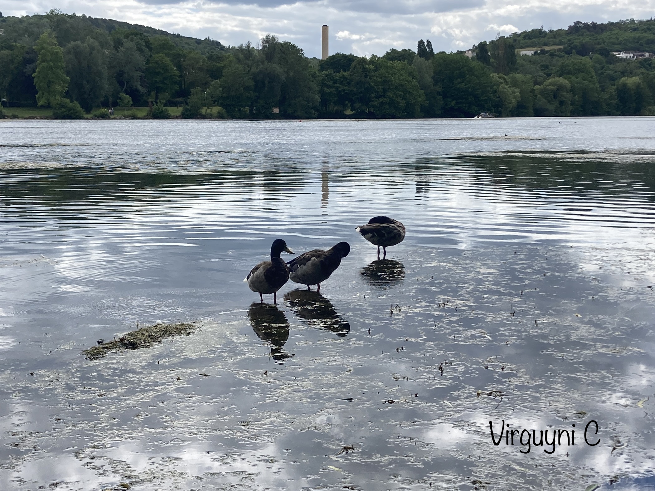 Photo n° 1 de l'avis de Virginie.n fait le 10/06/2022 à 08:34