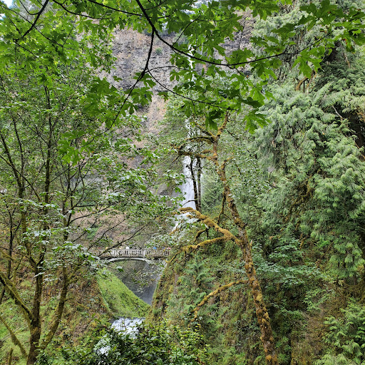 Tourist Attraction «Bridal Veil Falls», reviews and photos, E Crown Point Hwy, Bridal Veil, OR 97010, USA