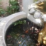 Photo n°24 de l'avis de Anna.a fait le 19/06/2022 à 08:26 sur le  Giolitti Eur à Rome