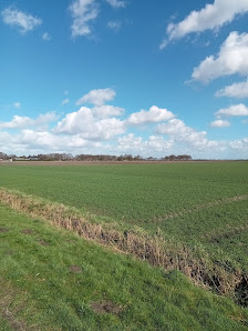 Menso N.V. Abel Tasmanstraat 7, 7821 AN Emmen, Nederland