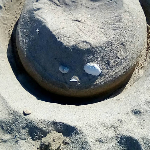 Craft Store «A.C. Moore Arts and Crafts», reviews and photos, 494 State Rd, North Dartmouth, MA 02747, USA