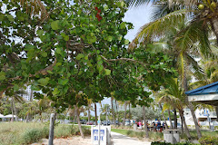 Pompano Beach Park