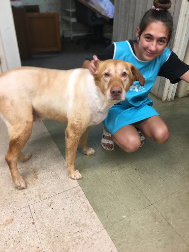 Pet Store «Boiling Springs Pet World», reviews and photos, 2651 Boiling Springs Rd, Spartanburg, SC 29316, USA