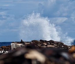 Cape of Good Hope Nature Reserve Entry Point photo