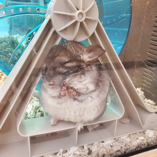 Pet Supply Store «PetSmart», reviews and photos, 3630 Peachtree Pkwy, Suwanee, GA 30024, USA