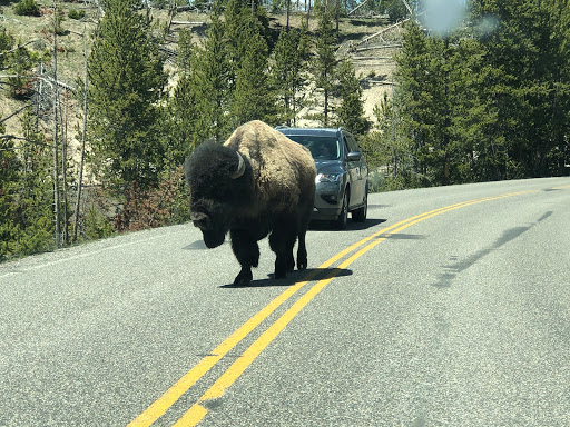 Book Store «Legends Bookstore», reviews and photos, 1350 Sheridan Ave, Cody, WY 82414, USA