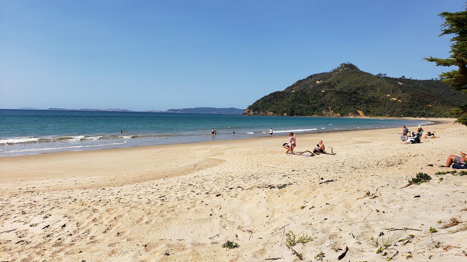 Foto von Kuaotunu Beach mit heller sand Oberfläche