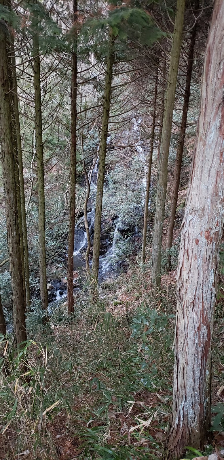 田尻谷川の滝