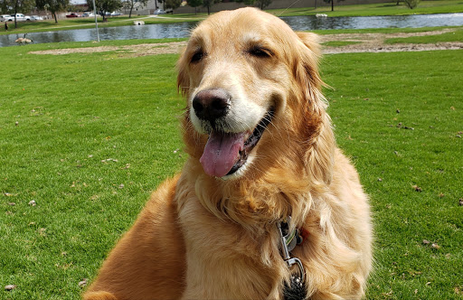 Park «Greer Park», reviews and photos, 6900 W McFadden Ave, Huntington Beach, CA 92647, USA