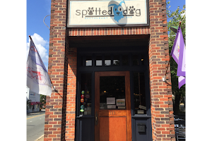 Spotted Dog Restaurant & Bar image