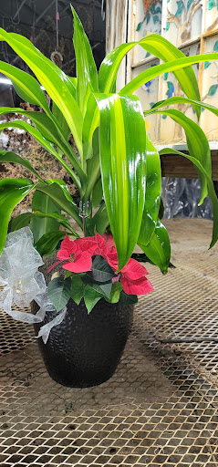 Florist «St. Clair Greenhouses & Florist», reviews and photos, 7043 Big Hand Rd, St Clair, MI 48079, USA
