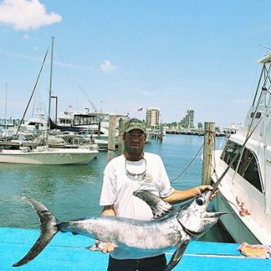 Ace Captain Mark the Shark