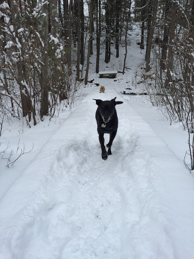 State Park «Wilson Mountain Reservation», reviews and photos, 384 Common St, Dedham, MA 02026, USA