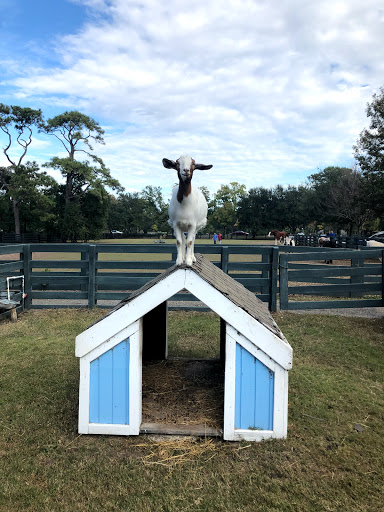 Stable «Lawton Stables», reviews and photos, 190 Greenwood Dr, Hilton Head Island, SC 29928, USA