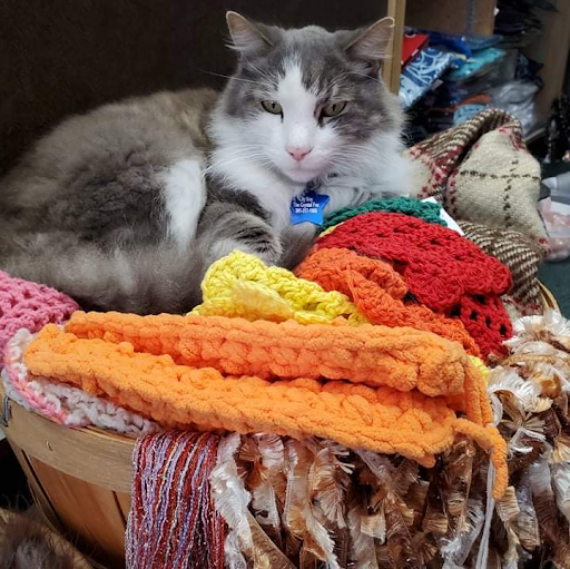 Rock Shop «The Crystal Fox», reviews and photos, 311 Main St, Laurel, MD 20707, USA