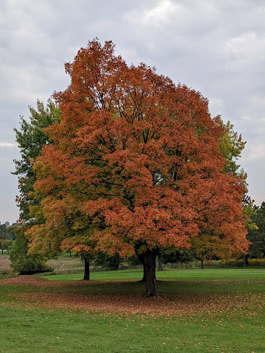 Golf Course «Theodore Wirth Golf Course», reviews and photos, 1301 Theodore Wirth Pkwy, Minneapolis, MN 55422, USA