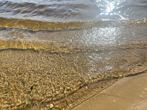 State Park «Parvin State Park», reviews and photos, 701 Almond Rd, Pittsgrove Township, NJ 08318, USA