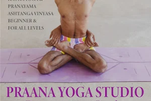 Praana Yoga Studio image