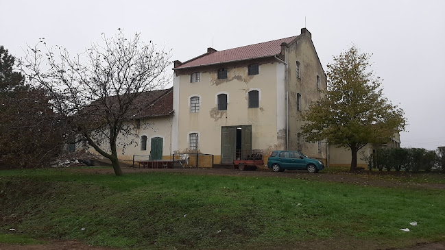 Privát max Élelmiszerbolt - Élelmiszerüzlet