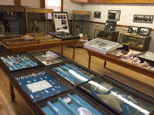 Museum «Nylander Museum-Natural History», reviews and photos, 657 Main St, Caribou, ME 04736, USA