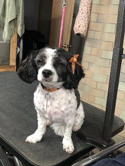 Woofs & Whiskers Grooming Salon