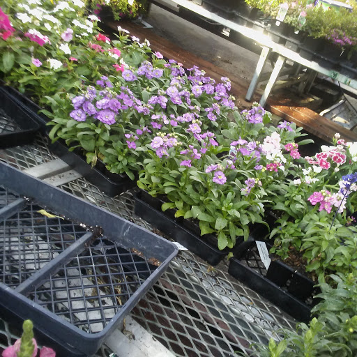 Hardware Store «Orchard Supply Hardware», reviews and photos, 2245 Gellert Blvd, South San Francisco, CA 94080, USA