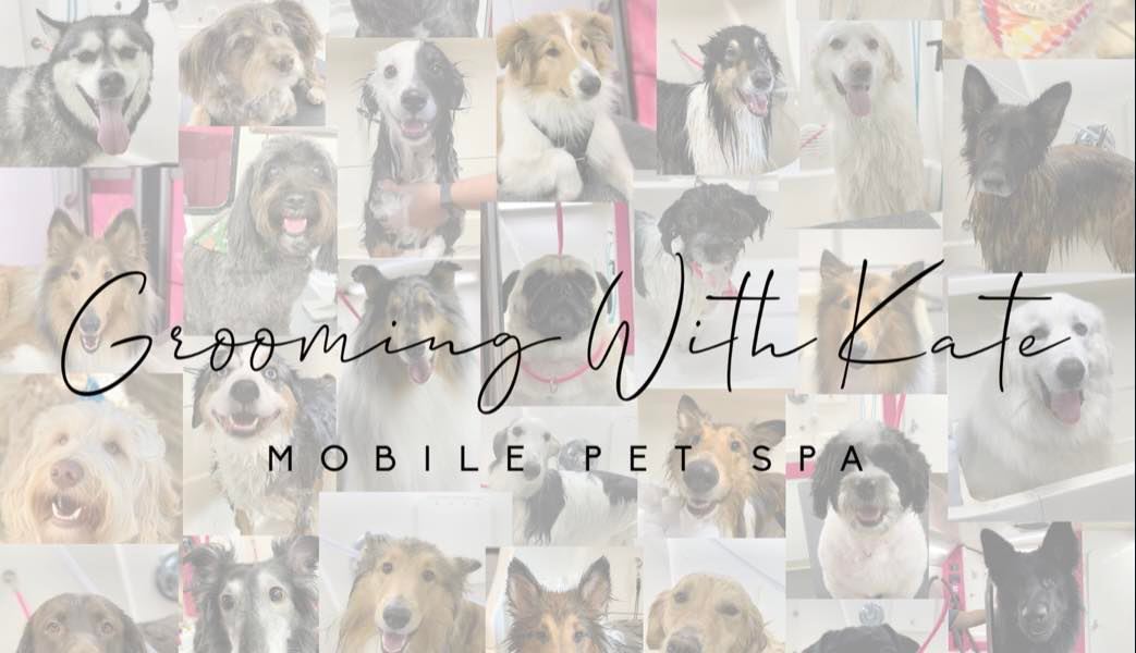 Grooming With Kate Mobile Pet Spa
