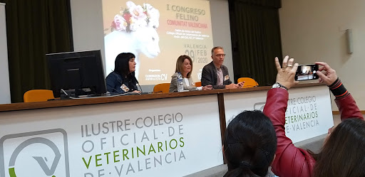 Colegio Oficial de Veterinarios de Valencia en Valencia