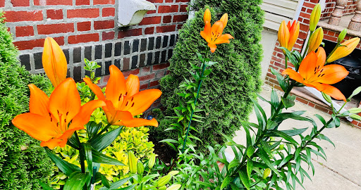 Park «Dyker Beach Park», reviews and photos, 334 Bay 8th St, Brooklyn, NY 11228, USA