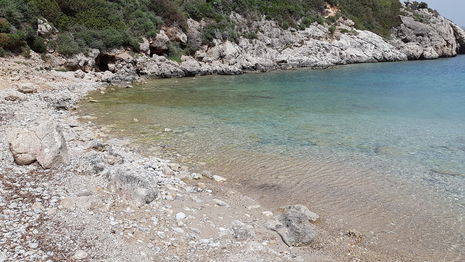Porto Timoni'in fotoğrafı vahşi alan