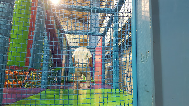 The Play Shed soft play and café Open Times