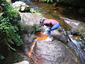 Source ferrugineuse de la Fontfort Sauvain