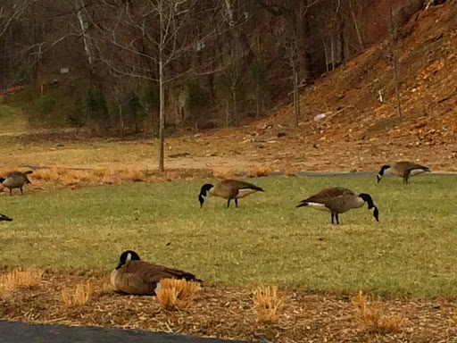 Park «Occoquan Regional Park», reviews and photos, 9751 Ox Rd, Lorton, VA 22079, USA