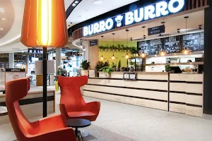 Burro Burro Singen (Cano) image