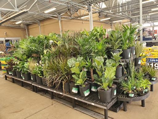 Department Store «Walmart Supercenter», reviews and photos, 100 E Wallace Kneeland Blvd, Shelton, WA 98584, USA