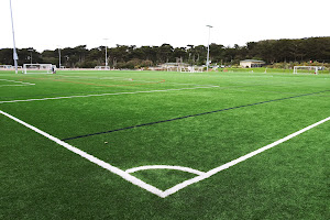 Beach Chalet Fields