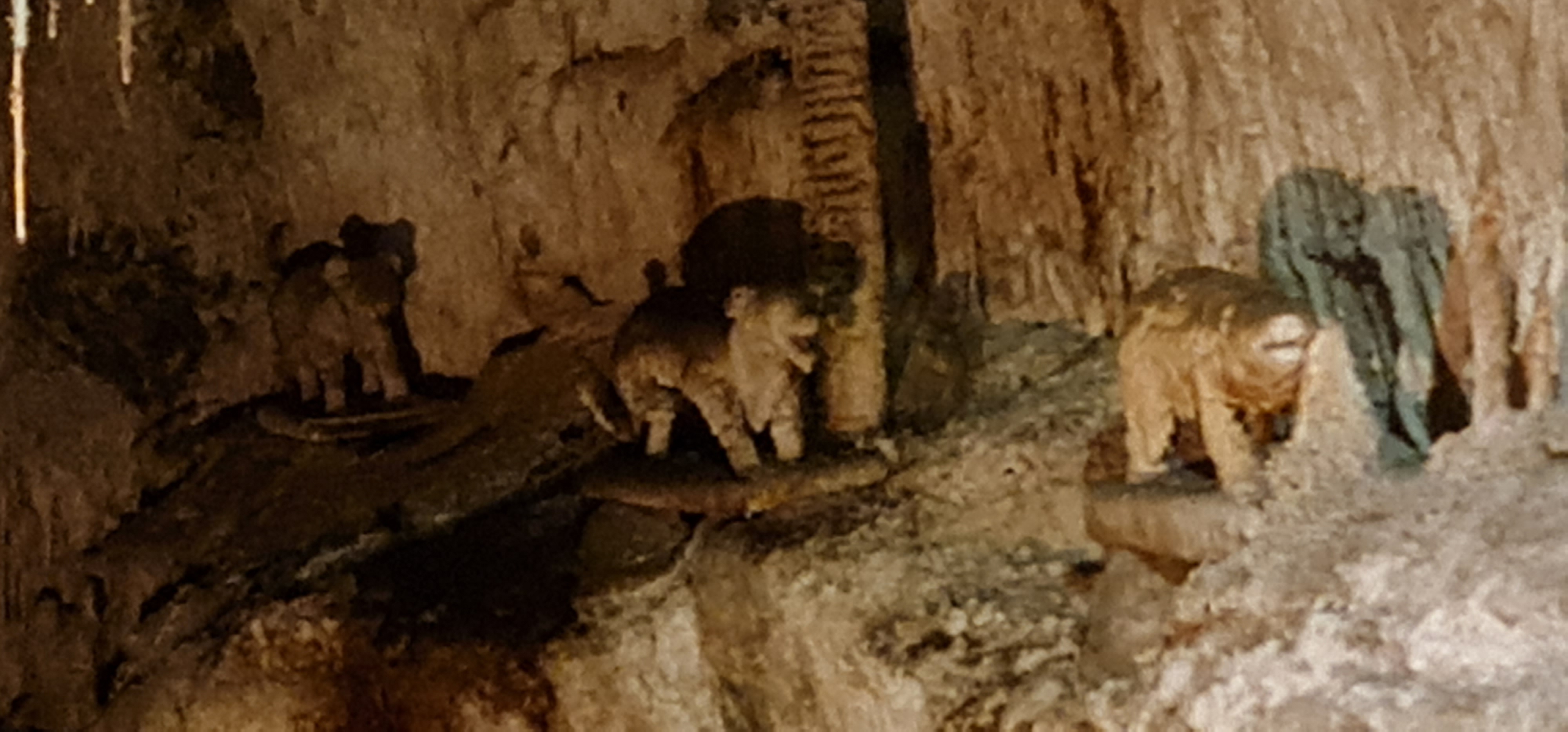 Photo n° 12 de l'avis de olivier.u fait le 28/02/2022 à 17:10