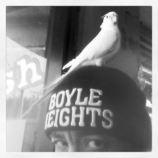 Pet Supply Store «Pet Care Inc.», reviews and photos, 2500 East Cesar E Chavez Avenue, Los Angeles, CA 90033, USA