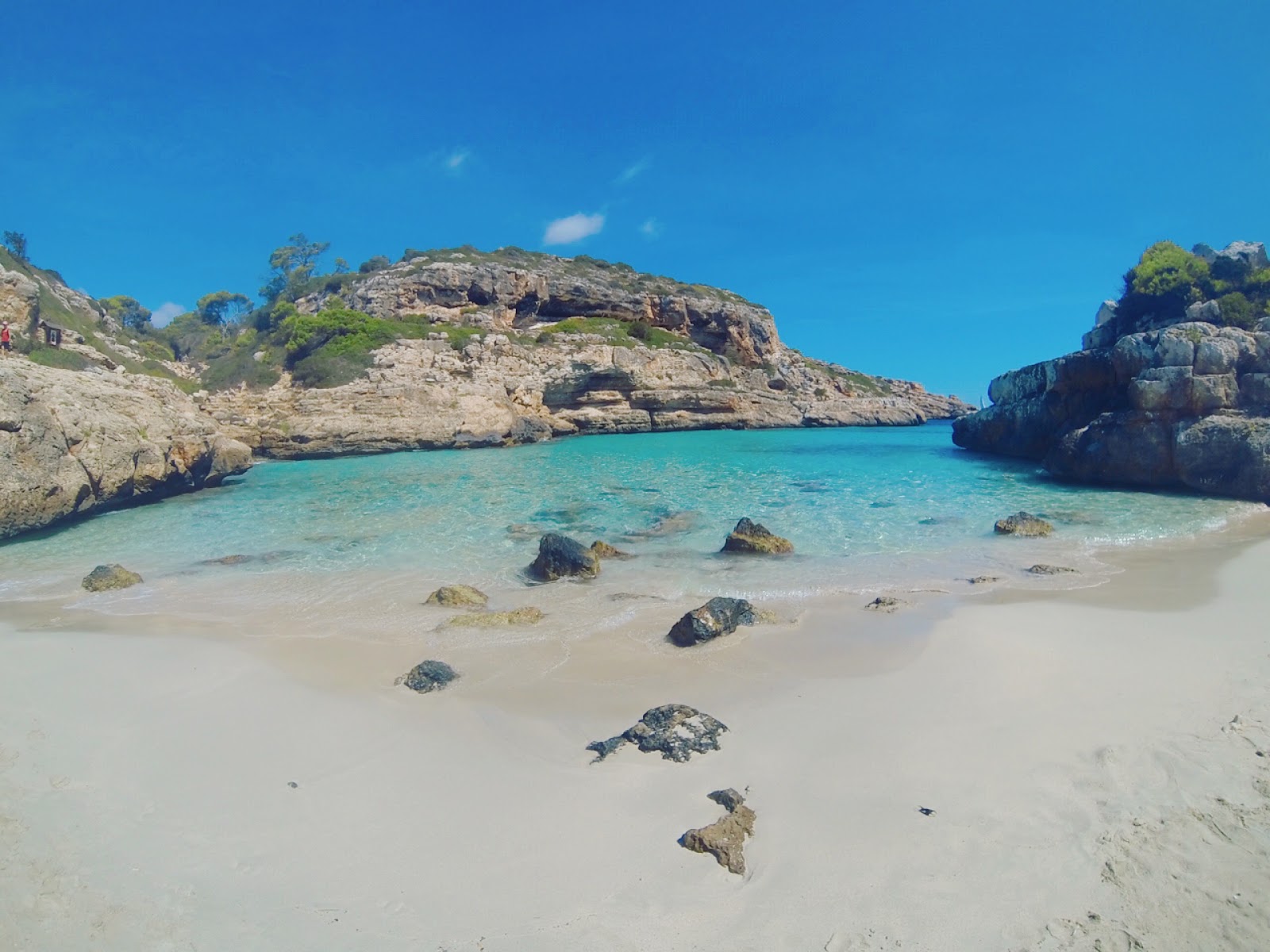 Cala Marmols photo #7