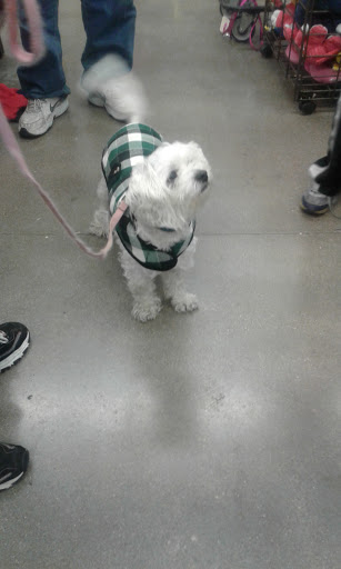 Pet Supply Store «Petco Animal Supplies», reviews and photos, 3430 W State St, Grand Island, NE 68803, USA