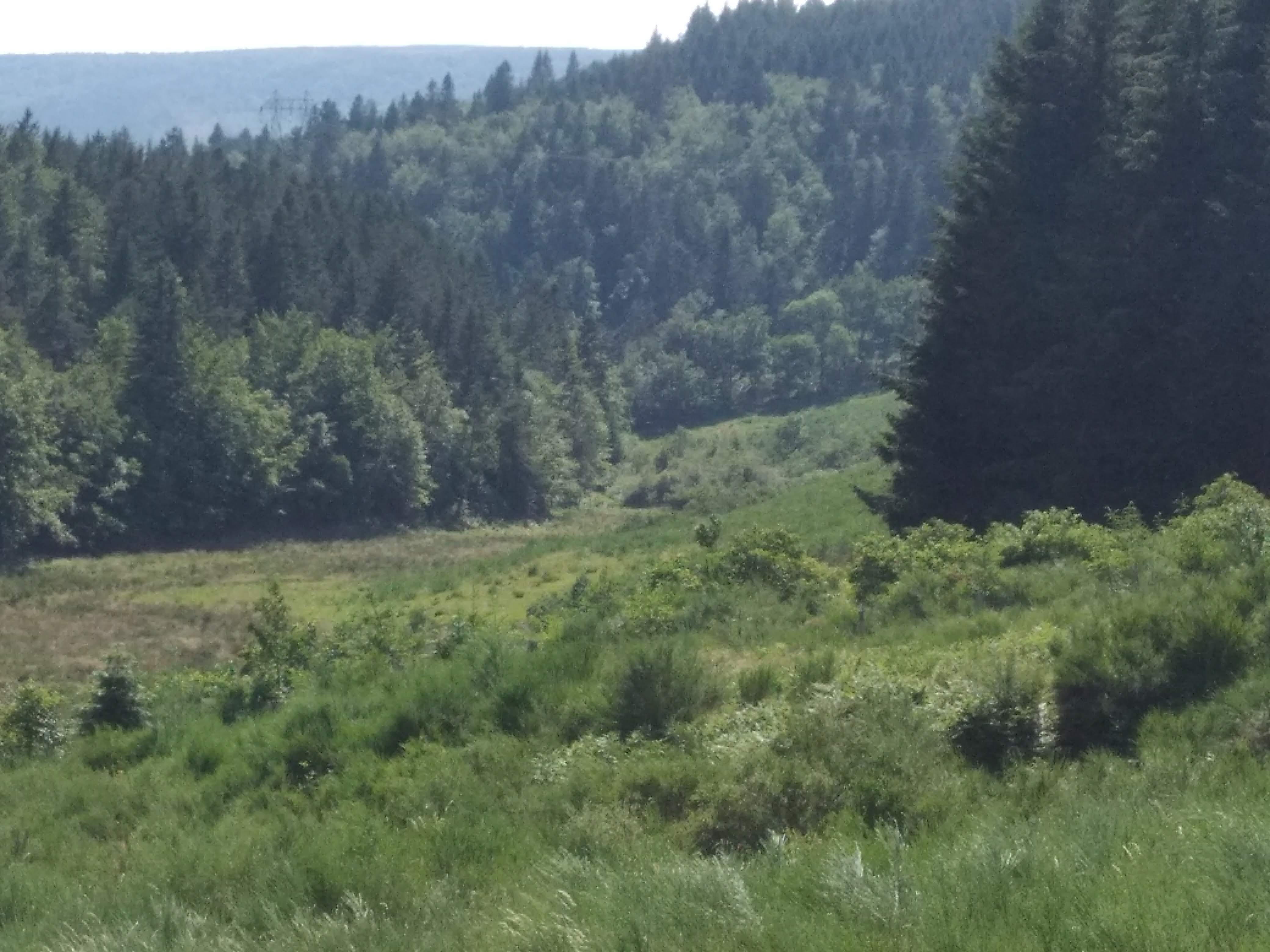 Photo n° 12 de l'avis de Nathalie.T fait le 12/07/2018 à 21:49