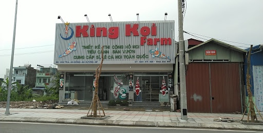 Top 20 cửa hàng cá koi Huyện Kiến Thụy Hải Phòng 2022